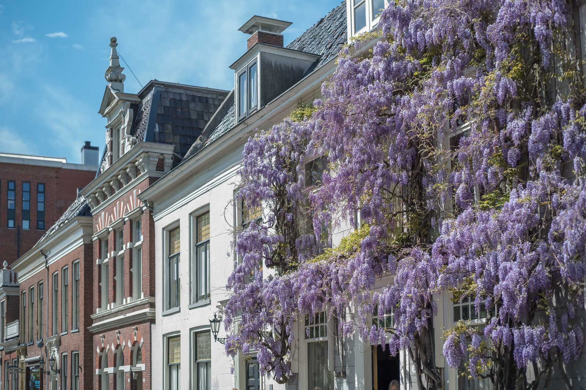Groningen Introduces New Reporting Rule for Tourist Rentals
