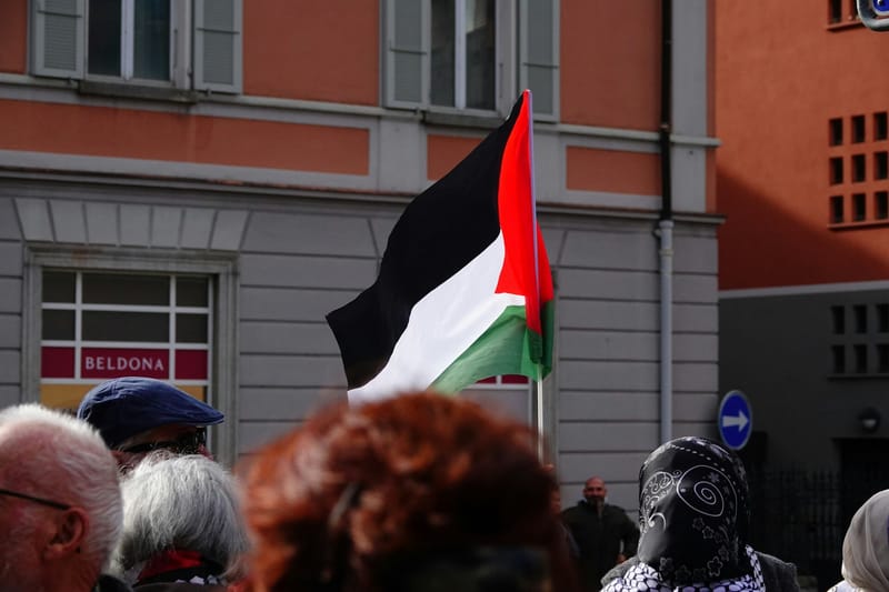 Police Arrest 205 at Gaza-Support Protest at The Hague Central Station post image
