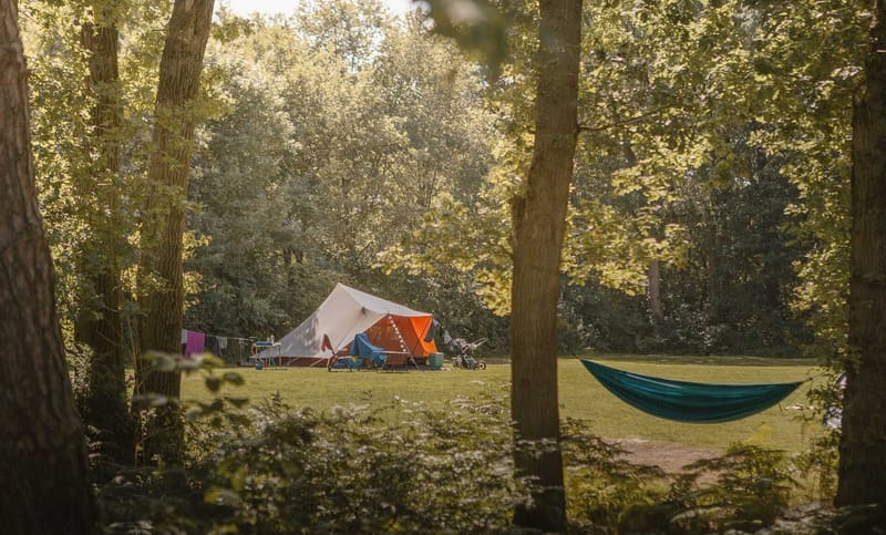 How Camping Works Here and Can You Do It for Free? post image
