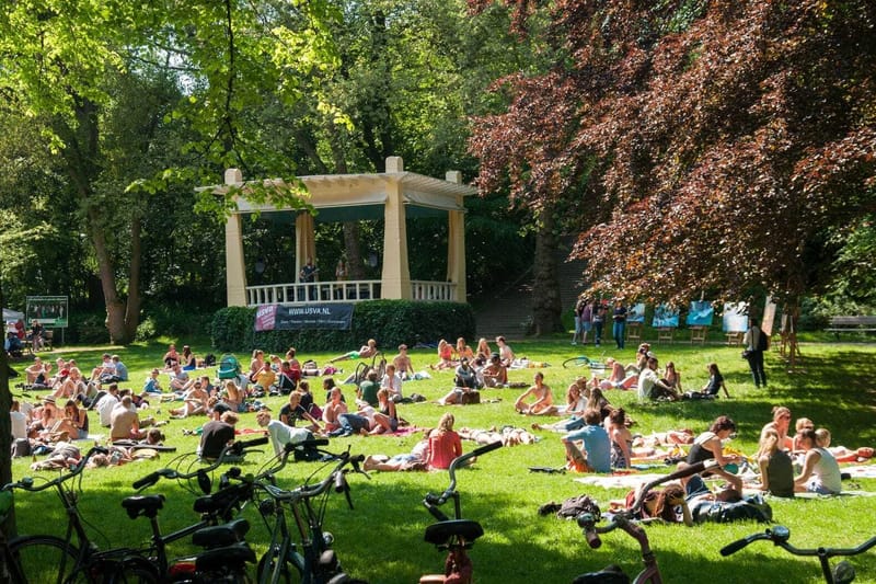 Noorderplantsoen Is Safe From Surveillance and Regulations post image