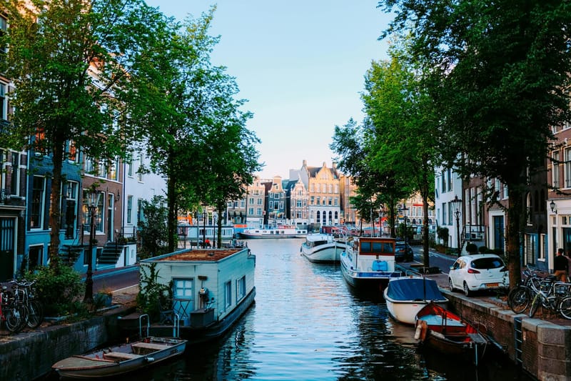 Best English-Language News Sources in the Netherlands post image