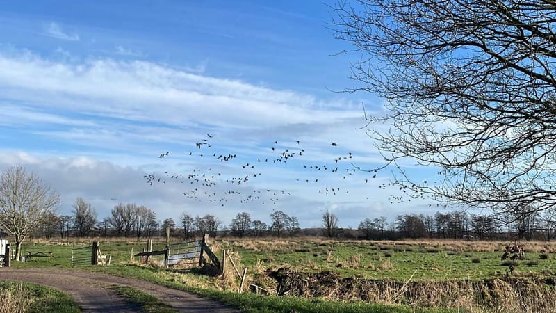 Discovering Groningen's Hiking Spots for Nature Lovers post image