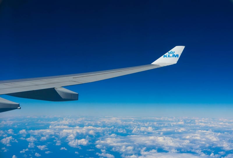 Rat on Board Leaves 250 KLM Passengers Stranded on Aruba and Bonaire post image
