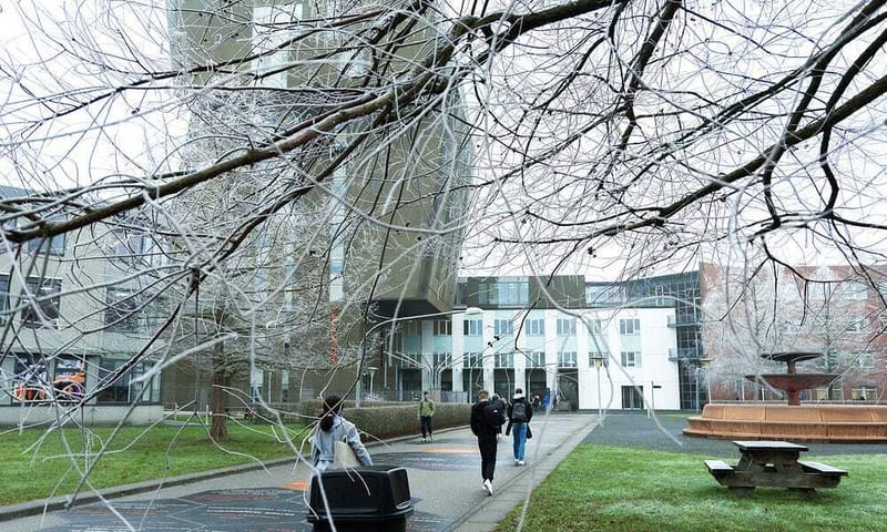Hanze Plans Major Restructuring for Better Collaboration post image