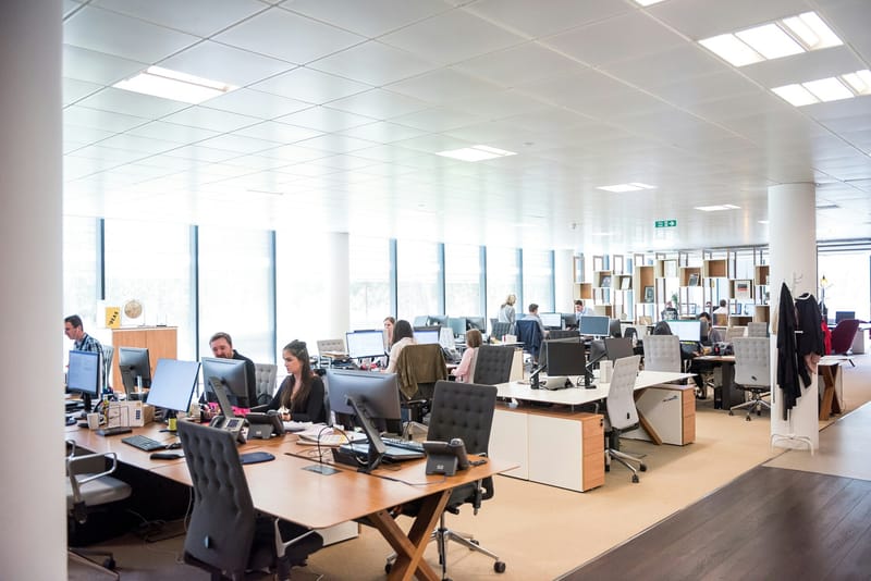 Net Salaries Expected to Rise in 2026 for Workers Across the Netherlands post image